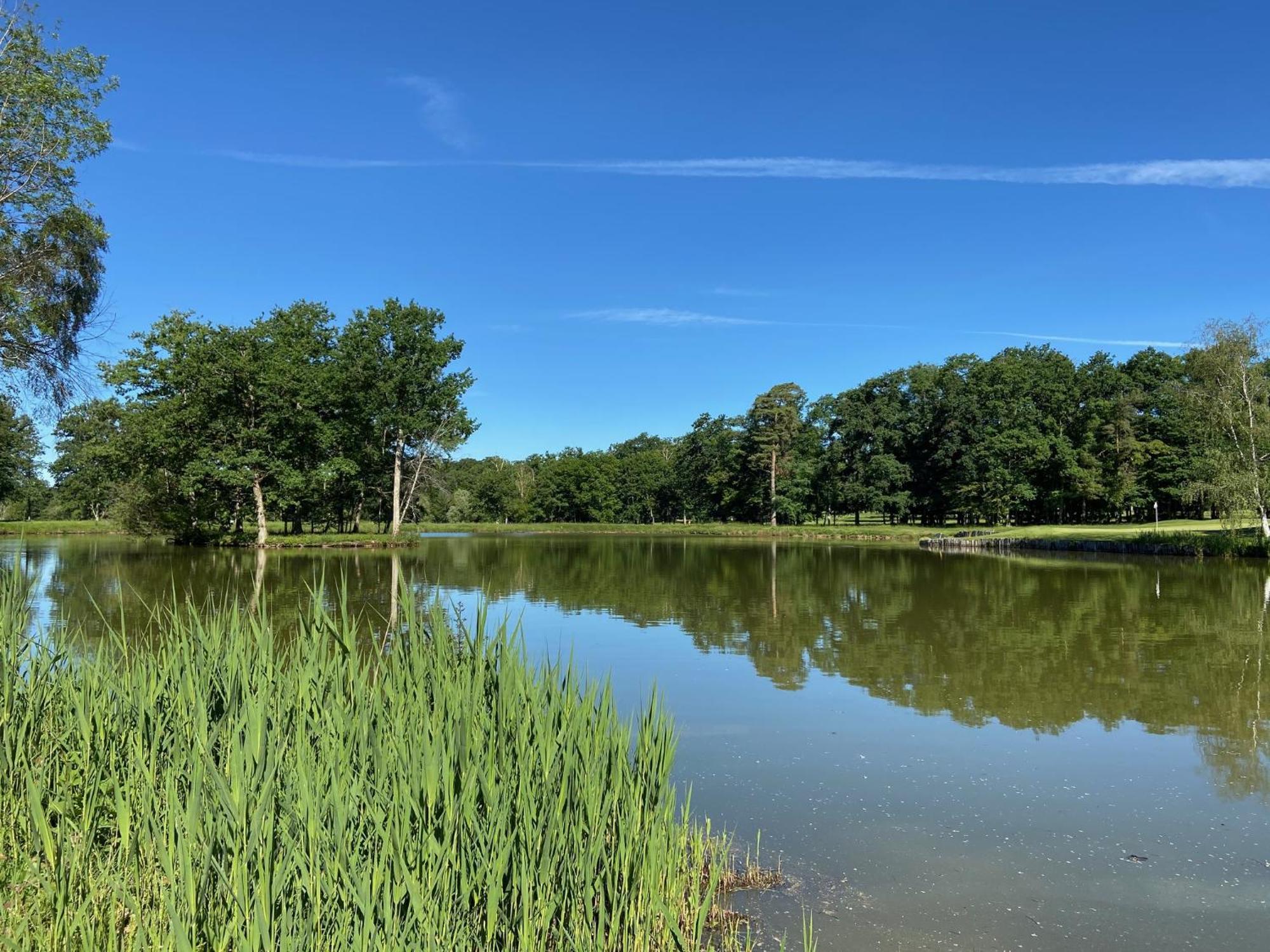Domaine Du Roncemay - Hotel, Restaurants, Spa & Golf Aillant-sur-Tholon Eksteriør bilde